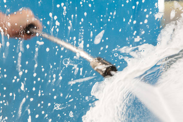 Animal Enclosure Cleaning in Crystal River, FL