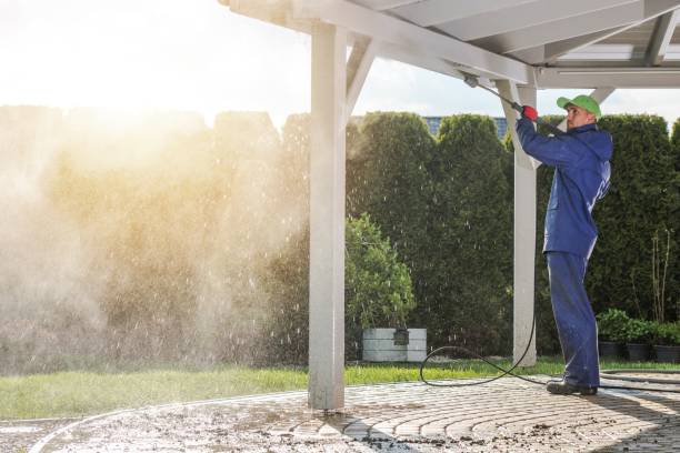 Best Gutter Cleaning  in Crystal River, FL
